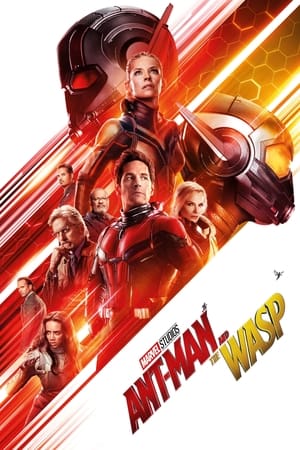Ant Man and the Wasp (2018) Hindi Dual Audio 350MB