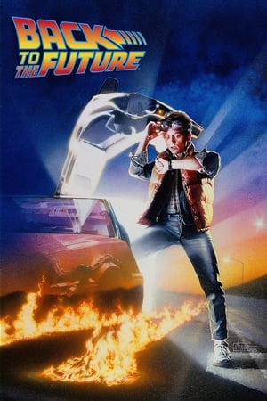 Back to the Future (1985) Dual Audio (Hindi) [700MB]
