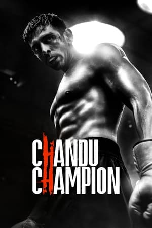 Chandu Champion 2024 Hindi – –