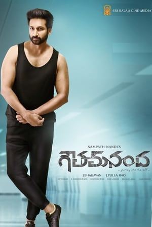 Goutham Nanda (2017) (Hindi – Telugu) Dual Audio –