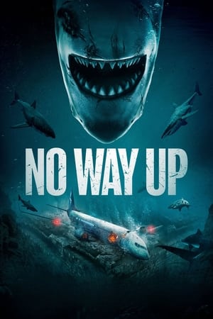 No Way Up (2024) Hindi Dual Audio – – 1080p