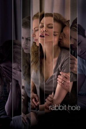 Rabbit Hole (2010) Hindi Dual Audio 300MB