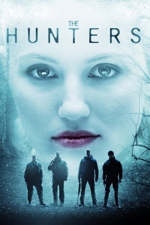 The Hunters 2011 Hindi Dual Audio 340MB
