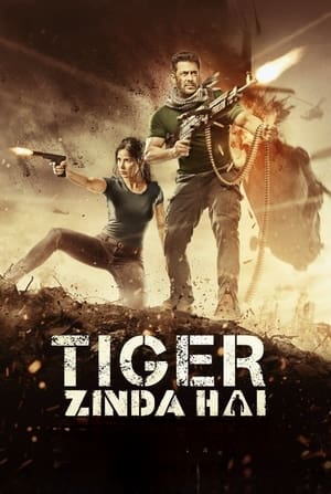 Tiger Zinda Hai 2017 490MB Movie Download